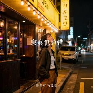 寂寞犯的错