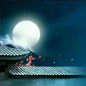 但愿人长久（诗岸、洛天依）