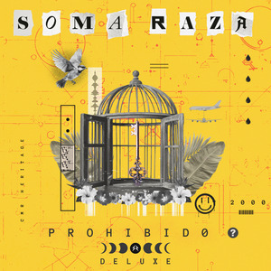 Patín (Live at Zaragoza Spain)