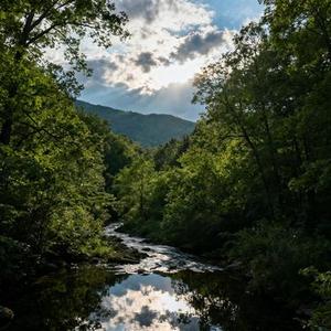 够爱 (Cover 曾沛慈)