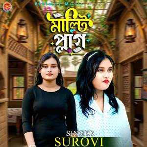 মাল্টি প্লাগ