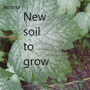 New Soil to Grow