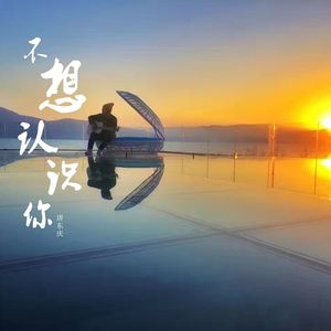 不想认识你