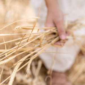 אין לי ברירה
