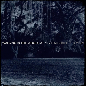 Walking in the Woods at Night