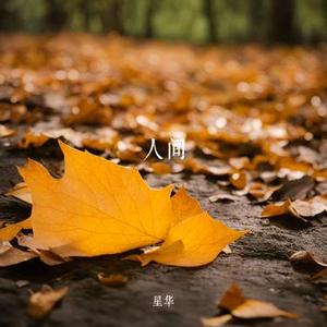 应许之心 (星华 Remix)