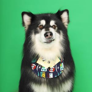 小可爱 Sweet heart