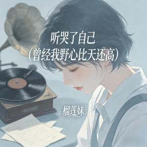 听哭了自己(曾经我野心比天还高)