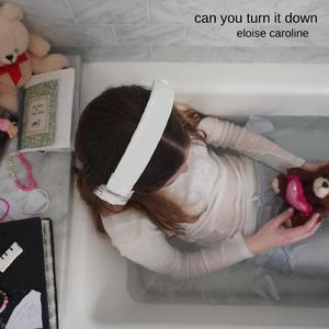 can you turn it down
