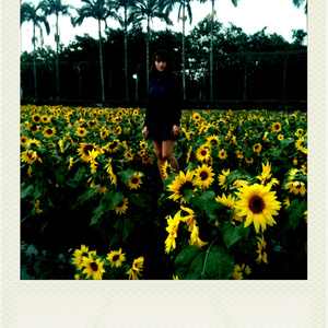 当我开始爱你的时候（demo）