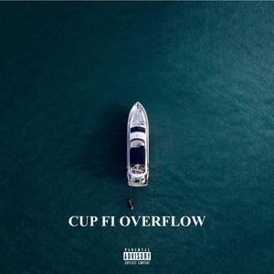 Cup Fi Overflow