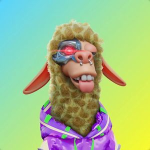 故土思绪的归乡行