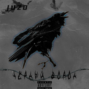 Чёрный ворон