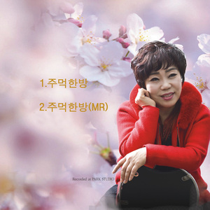 주먹한방 (MR)