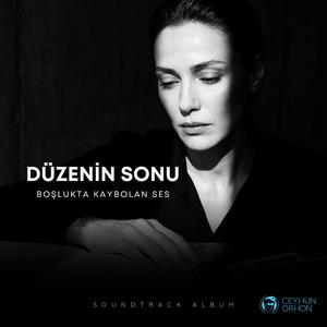 Toz Tutmus Defterler - Yarim Kalanlarin Yankisi