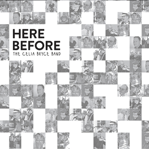 Who'll Bring Me Flowers