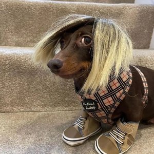 蟑螂侠的葬礼（Ft. Travis Scott, Juice WRLD, Post Malone）