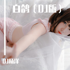 白鸽（DJ版）