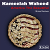 Kameelah Waheed - America the Beautiful (Bruise Vocal Remix)