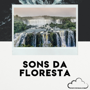 Barulho Cachoeira, Pt. 8