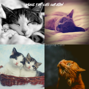 Caring (Training Cats)