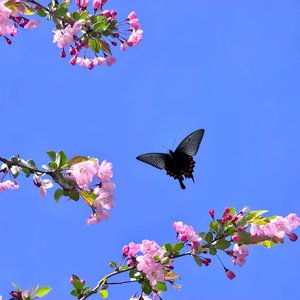 那年夏天宁静的海（钢琴版）