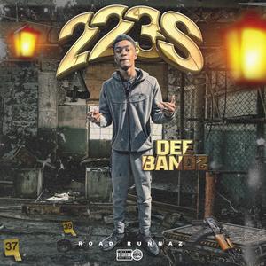 223's