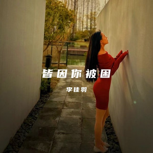 皆因你被困 (DJ JL版)