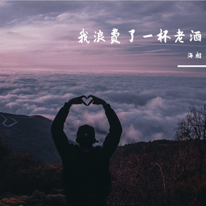 我浪费了一杯老酒（DJ小鹏）