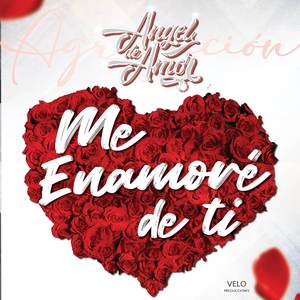 Me enamoré de ti