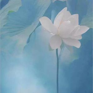 Mean Of Me（Prod.MoDi_dx1）