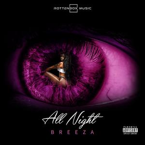 All Night (feat. RottenBox)