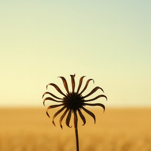 El Çek Tabip El Çek Sinem Üstünden