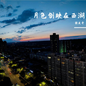 月色倒映在西湖（抖音热搜2）