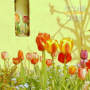 싱그러움 그대로