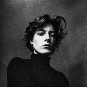 断了翅膀的小菜鸟