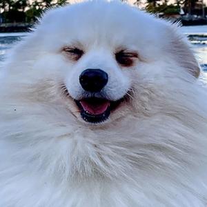 MOJO WORKIN' (IN '26 MIX)