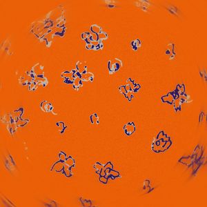 第十二夜（prod.Xavien)