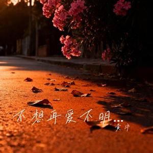 不想再爱不明白的爱 (Cover 戴爱玲)