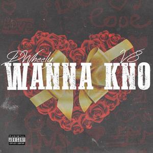 Wanna Kno (feat. v8)
