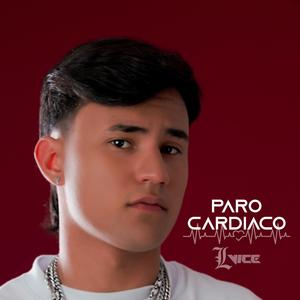 Paro Cardiaco