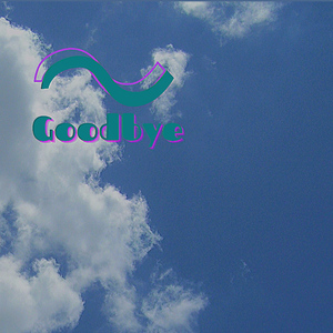 Goodbye