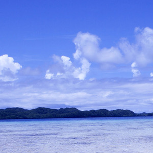 爱不想得忘不想舍