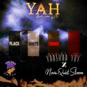 Black, White, Brown, or Red
