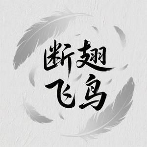 断翅飞鸟
