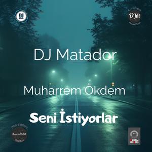 Seni İstiyorlar (feat. Muharrem Ökdem) (Türkçe)