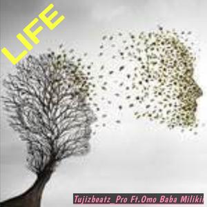 Life (feat. Omo baba miliki)