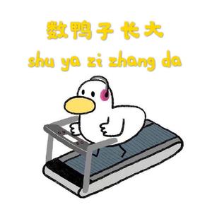 群星-数鸭子长大(Remix)