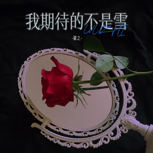 我期待的不是雪