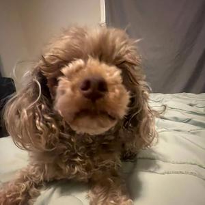 Ptp (feat. Threatbabii)